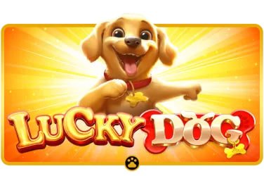 betflix666